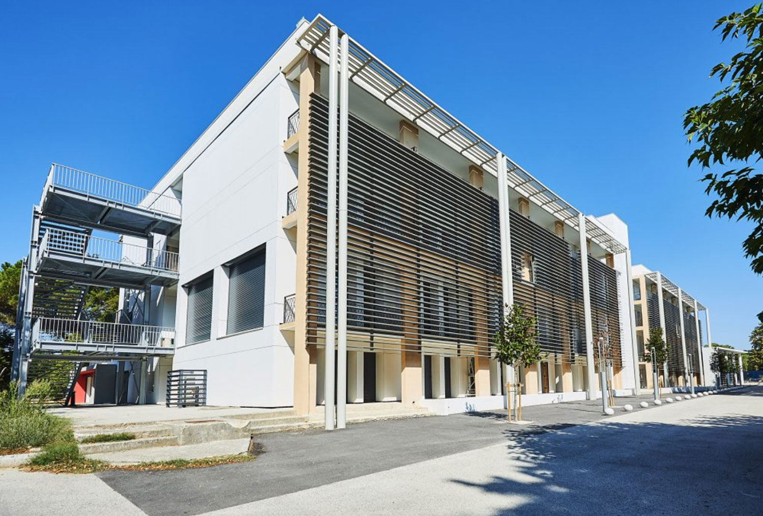 IAE Aix-Marseille Graduate School of Management