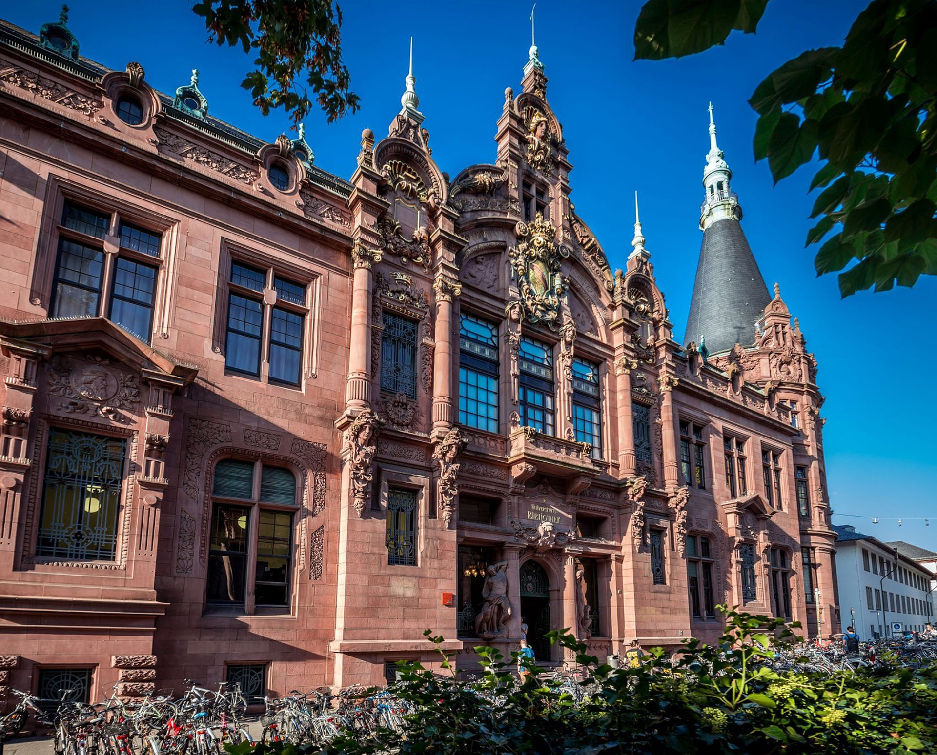 Universität Heidelberg (Ruprecht-Karls-Universität Heidelberg)