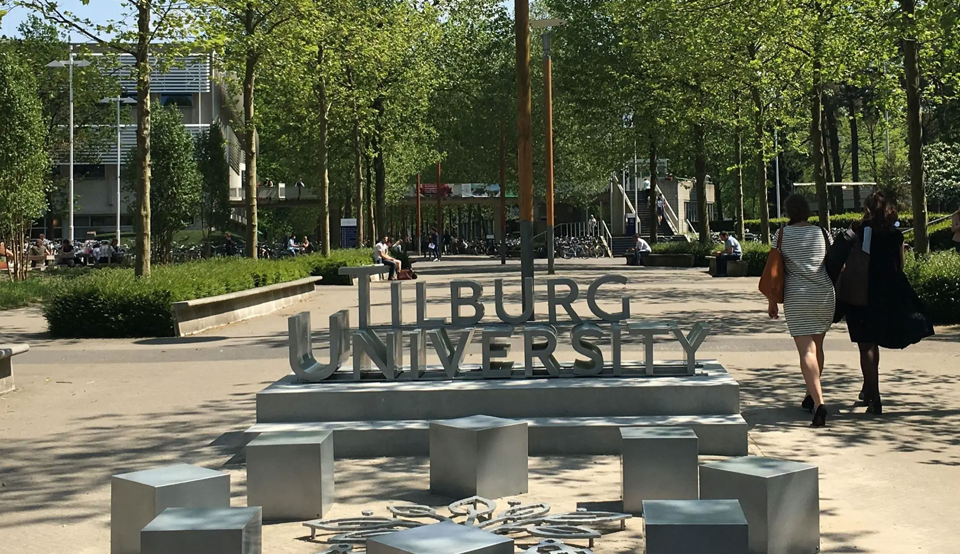 Tilburg School of Economics and Management (TiSEM)